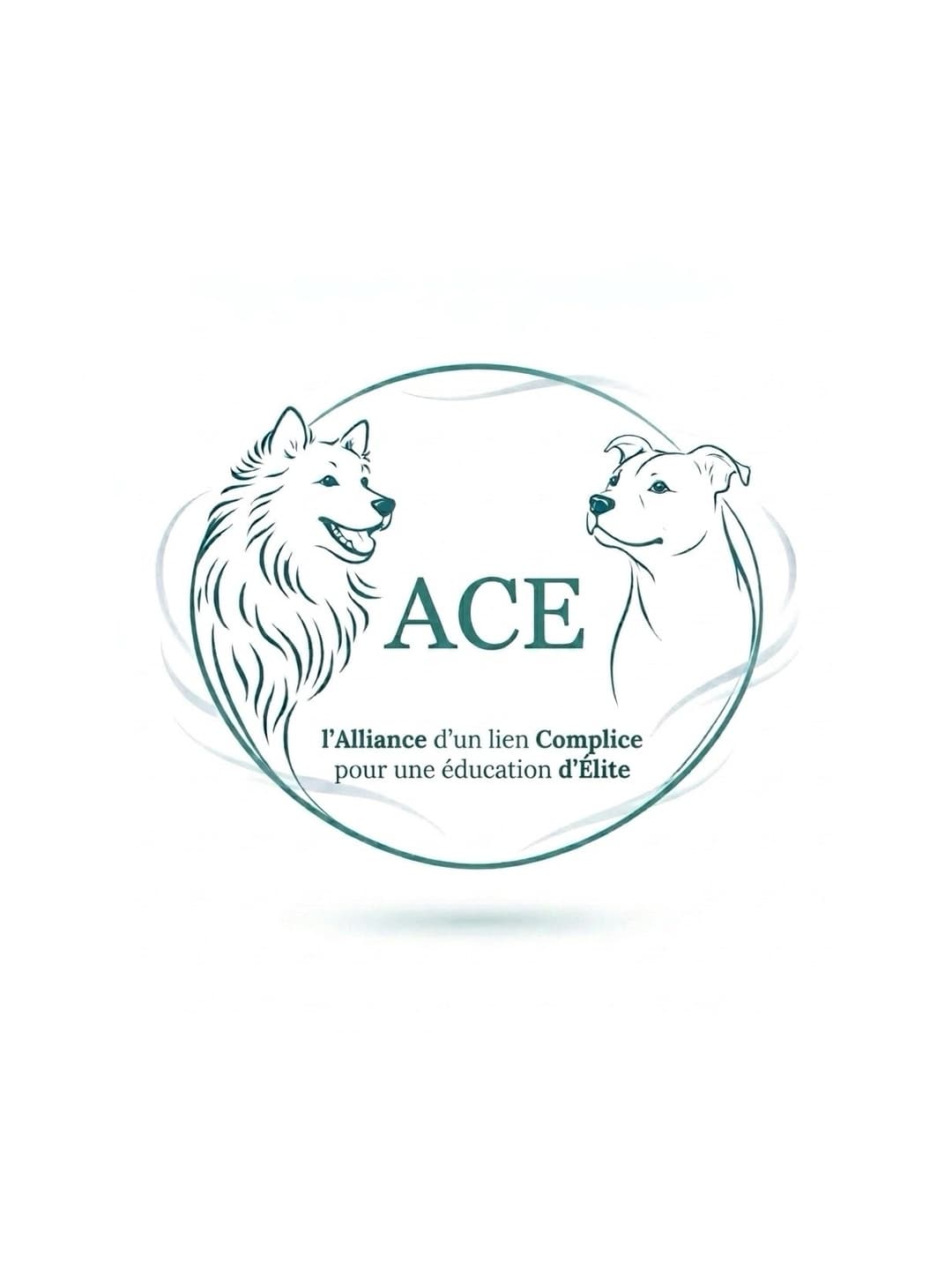 Logo ACE, l’alliance d’un lien complice
